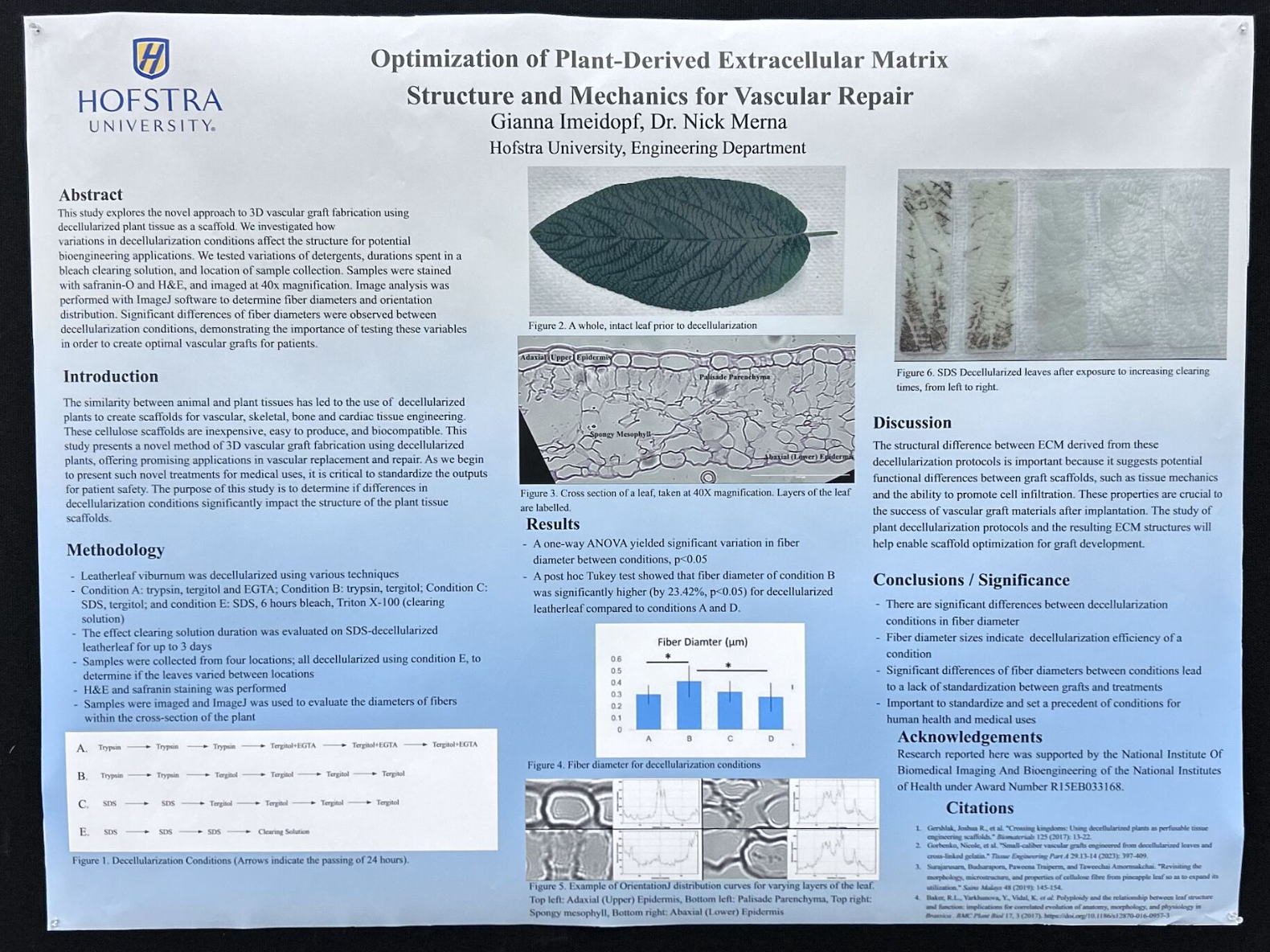 BMES 2024 conference poster image