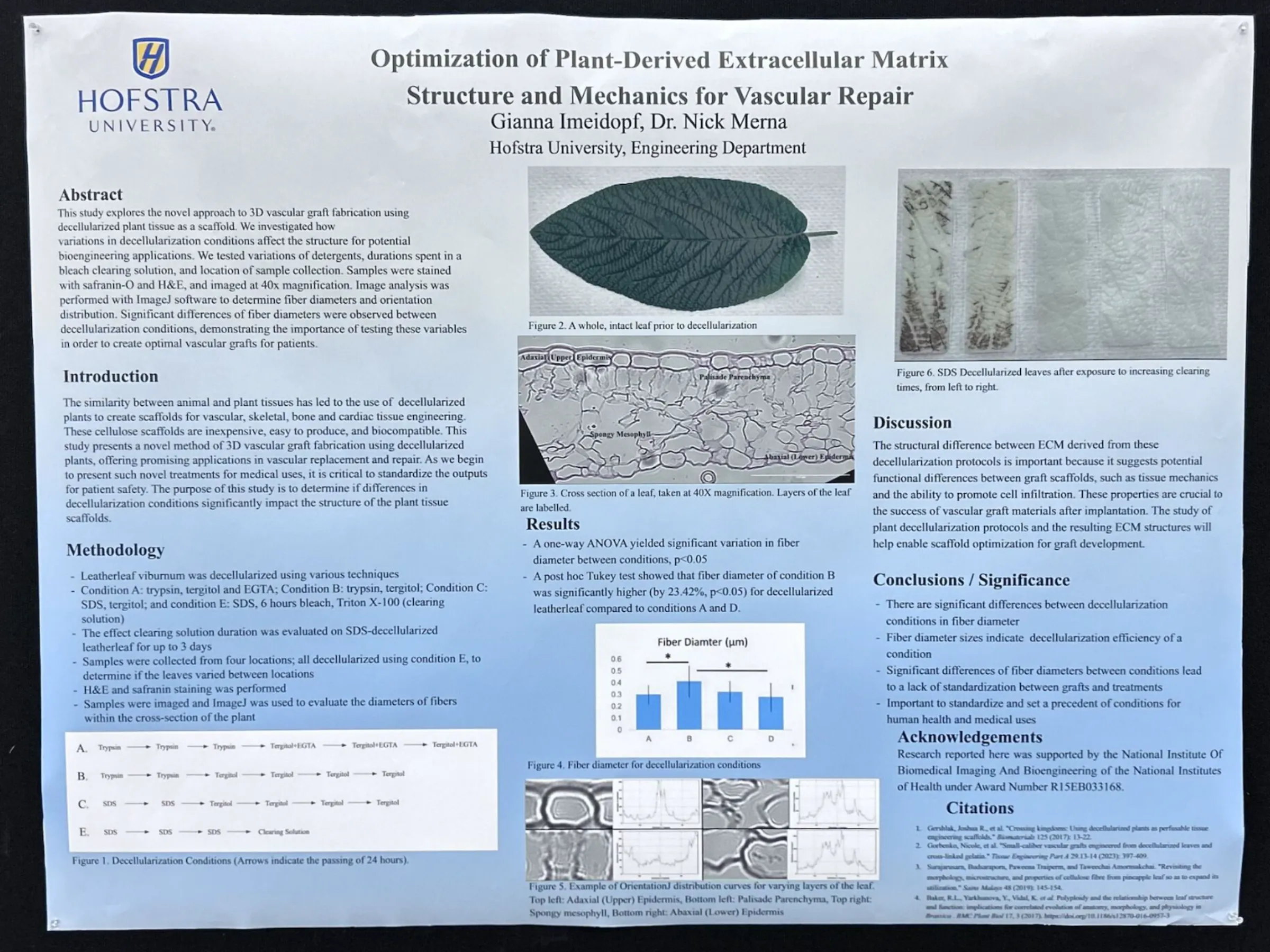 BMES 2024 poster