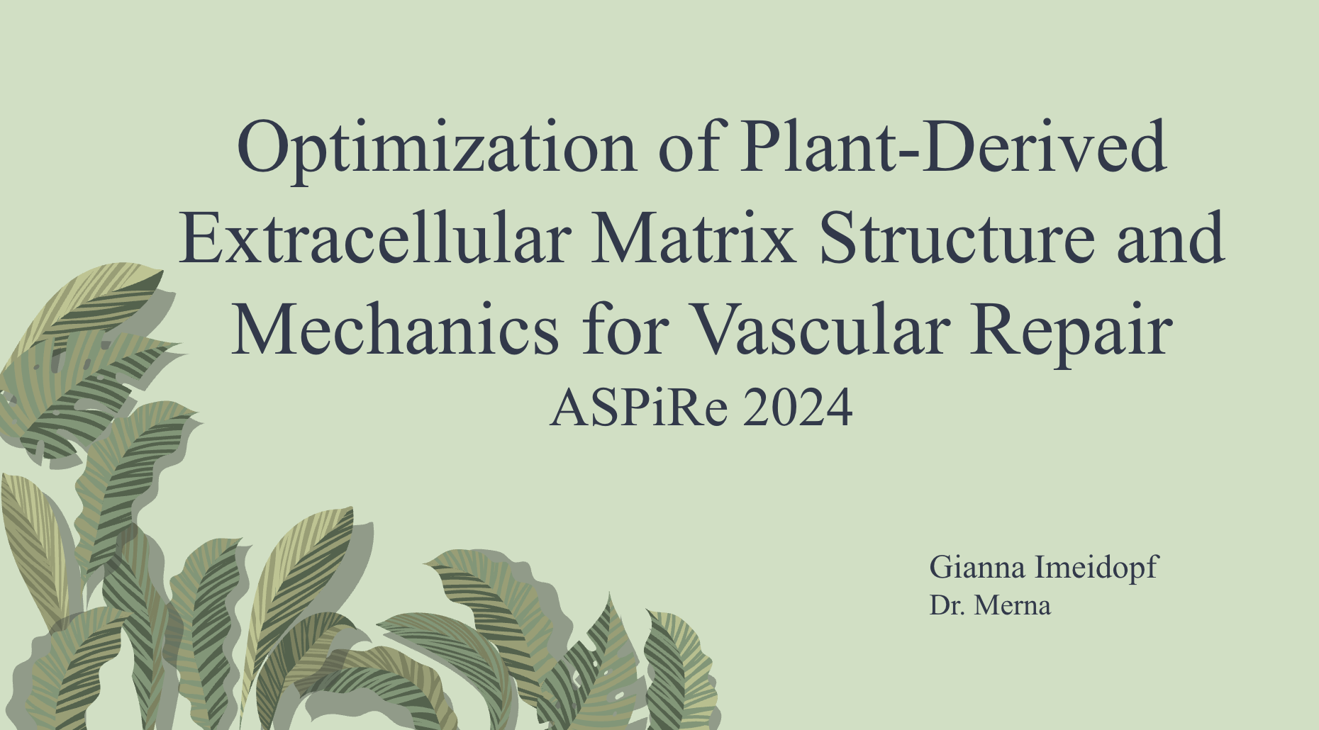 ASPiRe summer research cover slide