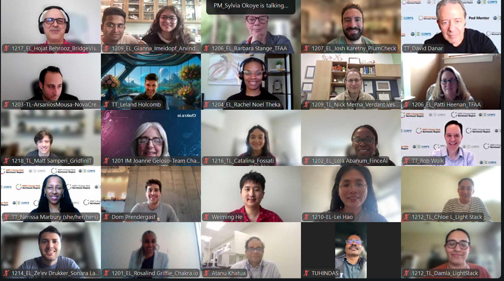 NSF I-Corps Propelus virtual program participants on a video call